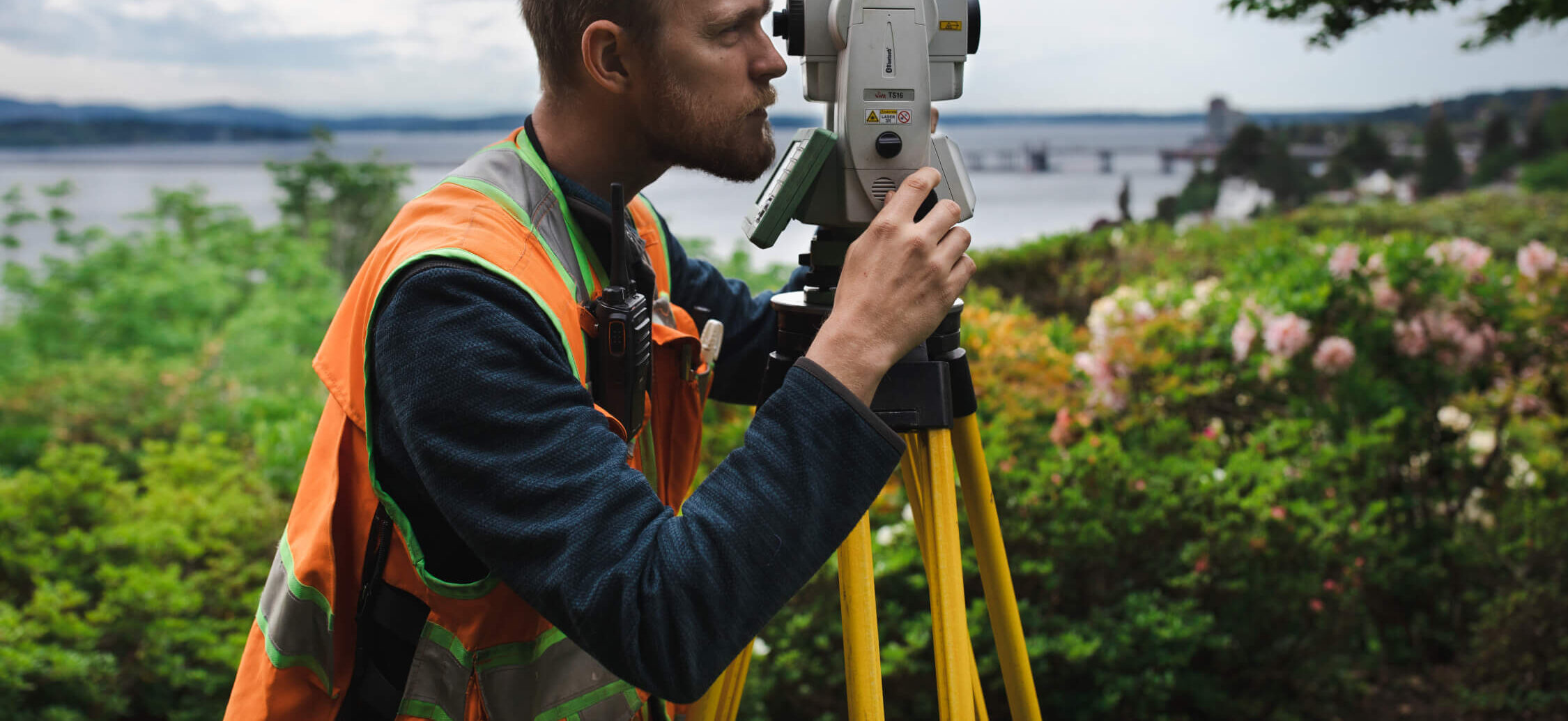 looking into survey tool